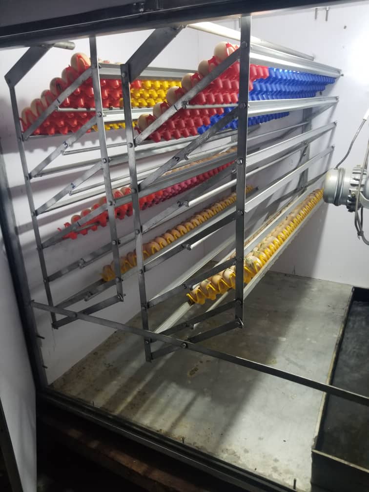 The incubation hub where eggs are nurtured into chicks