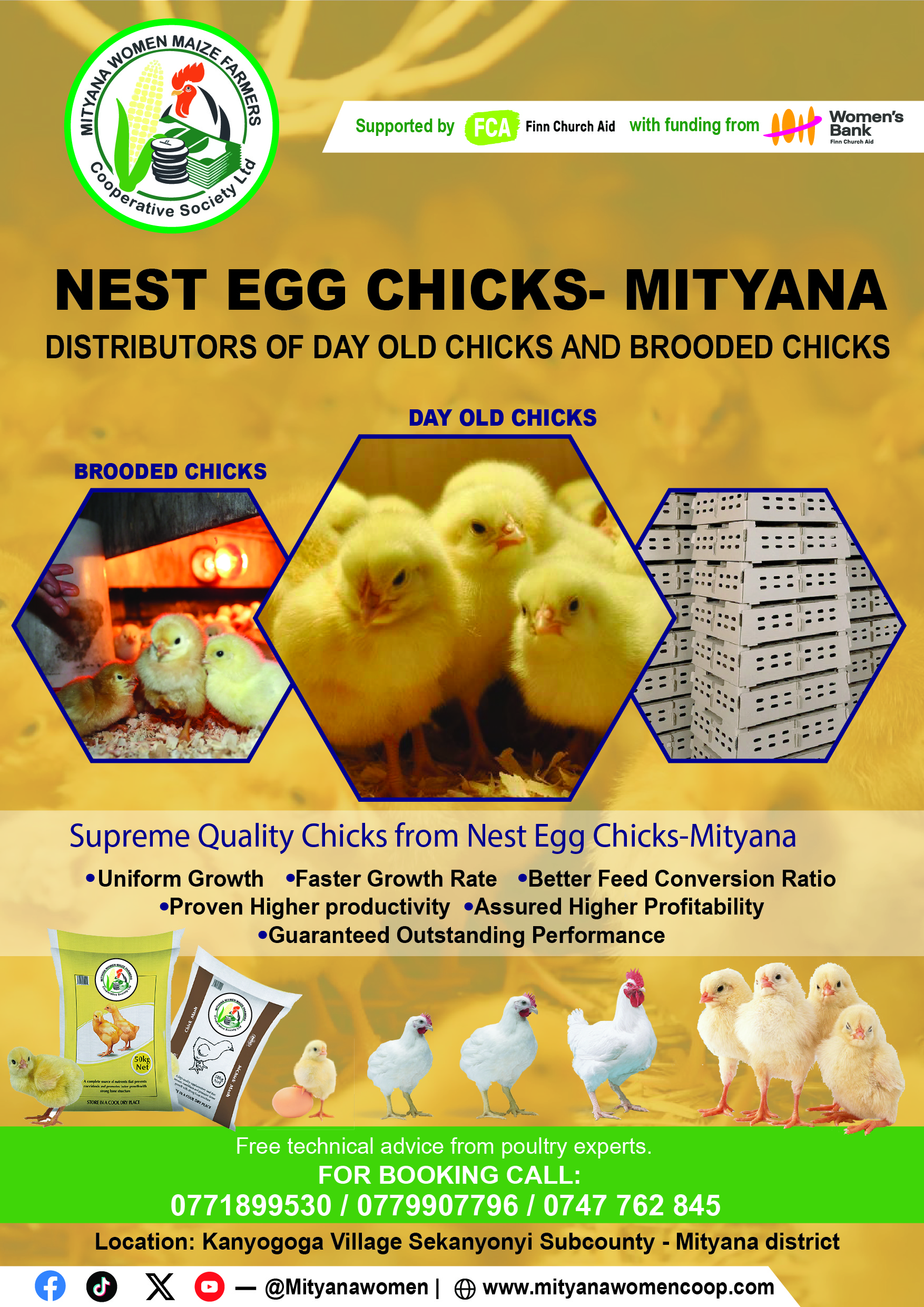 Nest Egg chicks Mityana